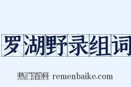 罗湖野录组词是什么意思的图片